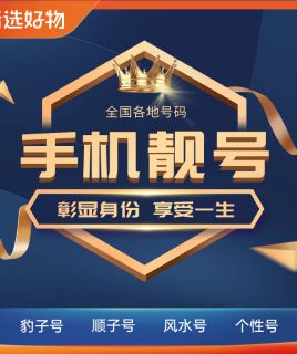 东莞手机靓号咨询